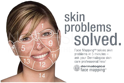 Face Mapping